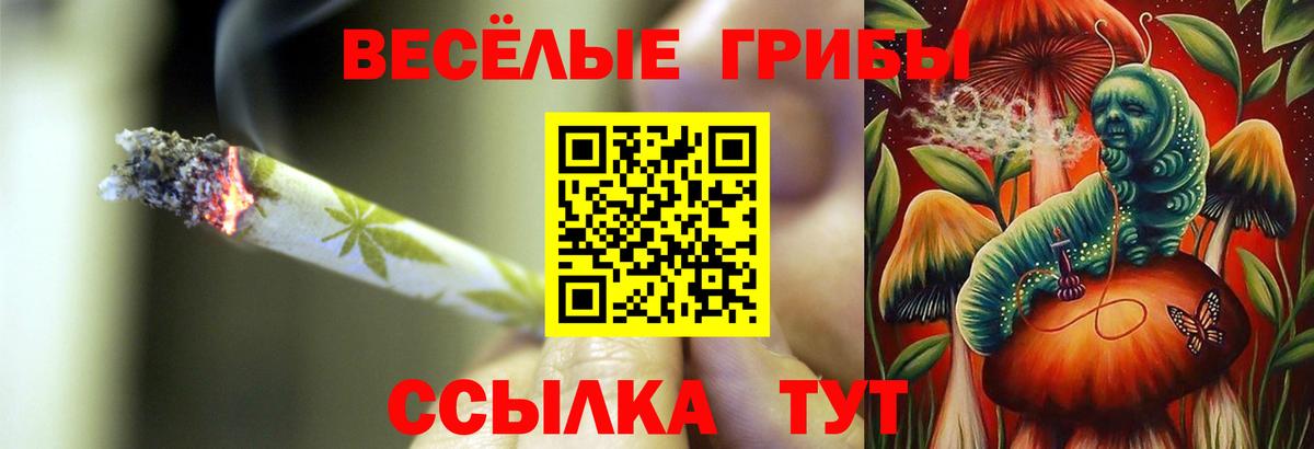 Псилоцибиновые грибы ЛСД Междуреченск